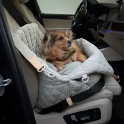 Hundetrage- und Transporttasche Kira für kleine Hunderassen, Welpen u. Katzen