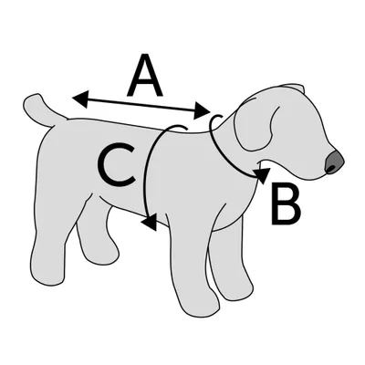Hundewintermantel Lennox , grün